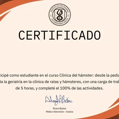 Certificado